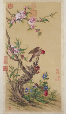 图片[1]-Lang Shining Flower and Bird Chart Axis-China Archive